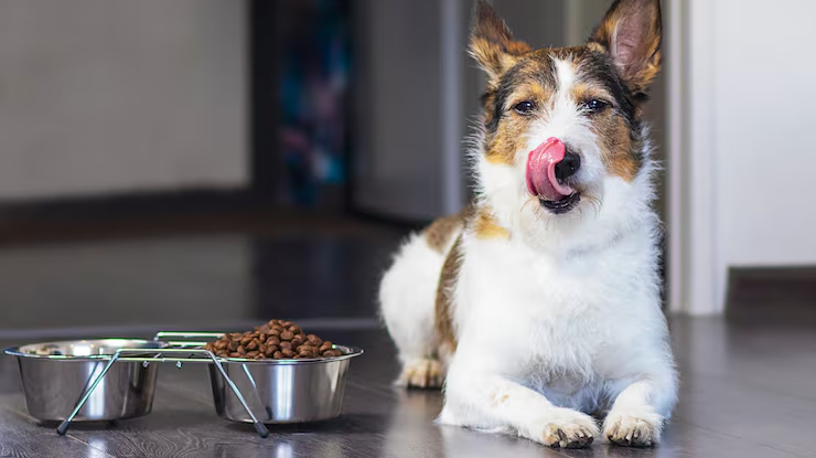 New Project - 2025-12-16T010308.813