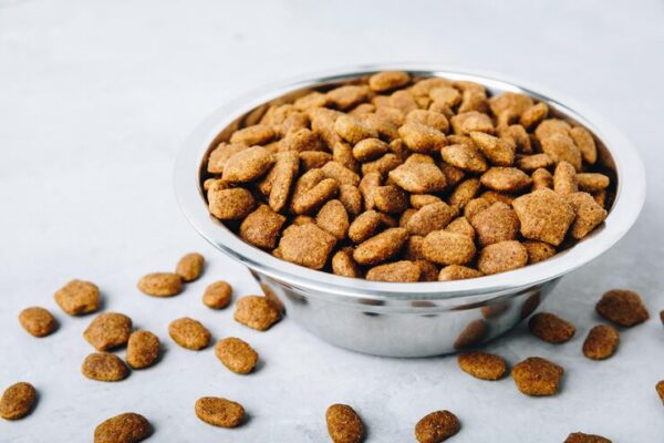 Air-Dried 95% Chicken + Superfoods Meal Topper